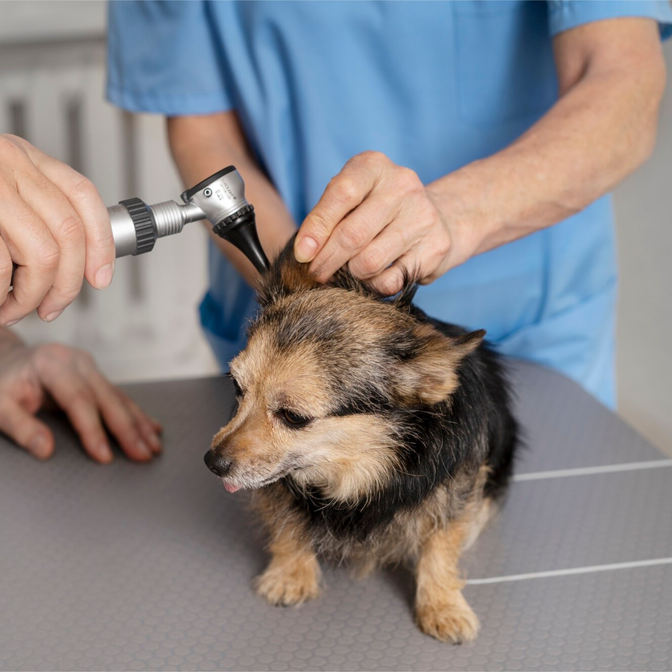 Freepik imagem Limpeza auricular